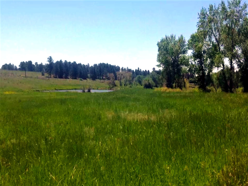 Willow Springs Ranch planned residential community in Monument, Colorado