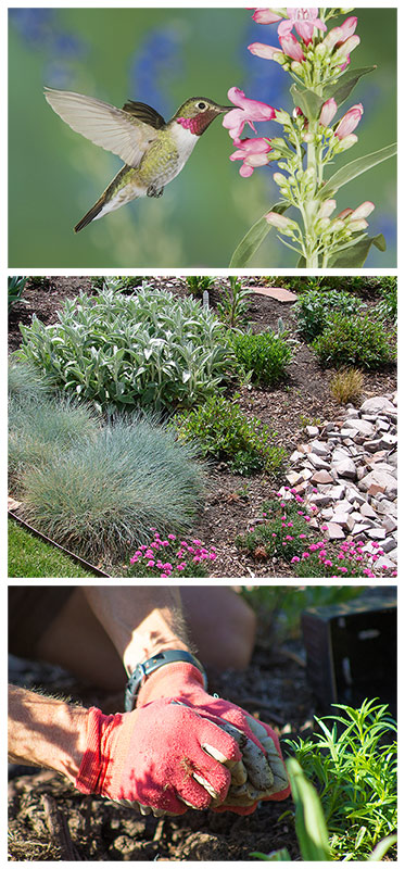 Willow Springs Ranch - High Altitude Gardening and Landscape Secrets